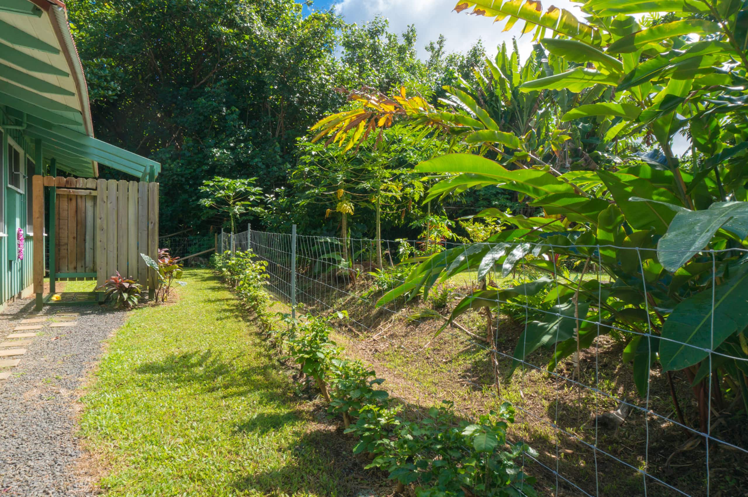 Home in Wainiha · ★4.7 · 3 bedrooms · 3 beds · 2 baths - Photo 13