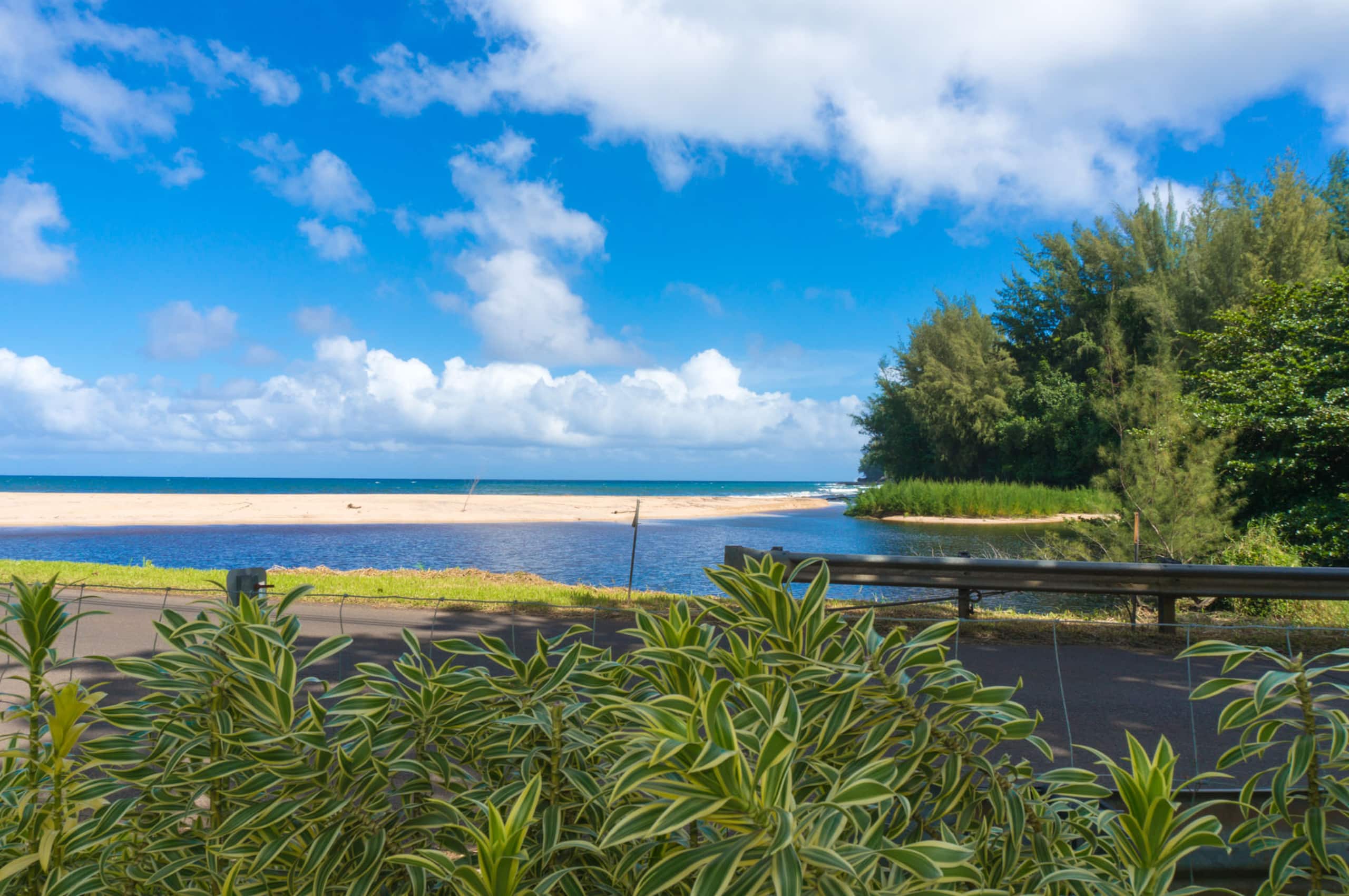 Home in Wainiha · ★4.7 · 3 bedrooms · 3 beds · 2 baths - Photo 15