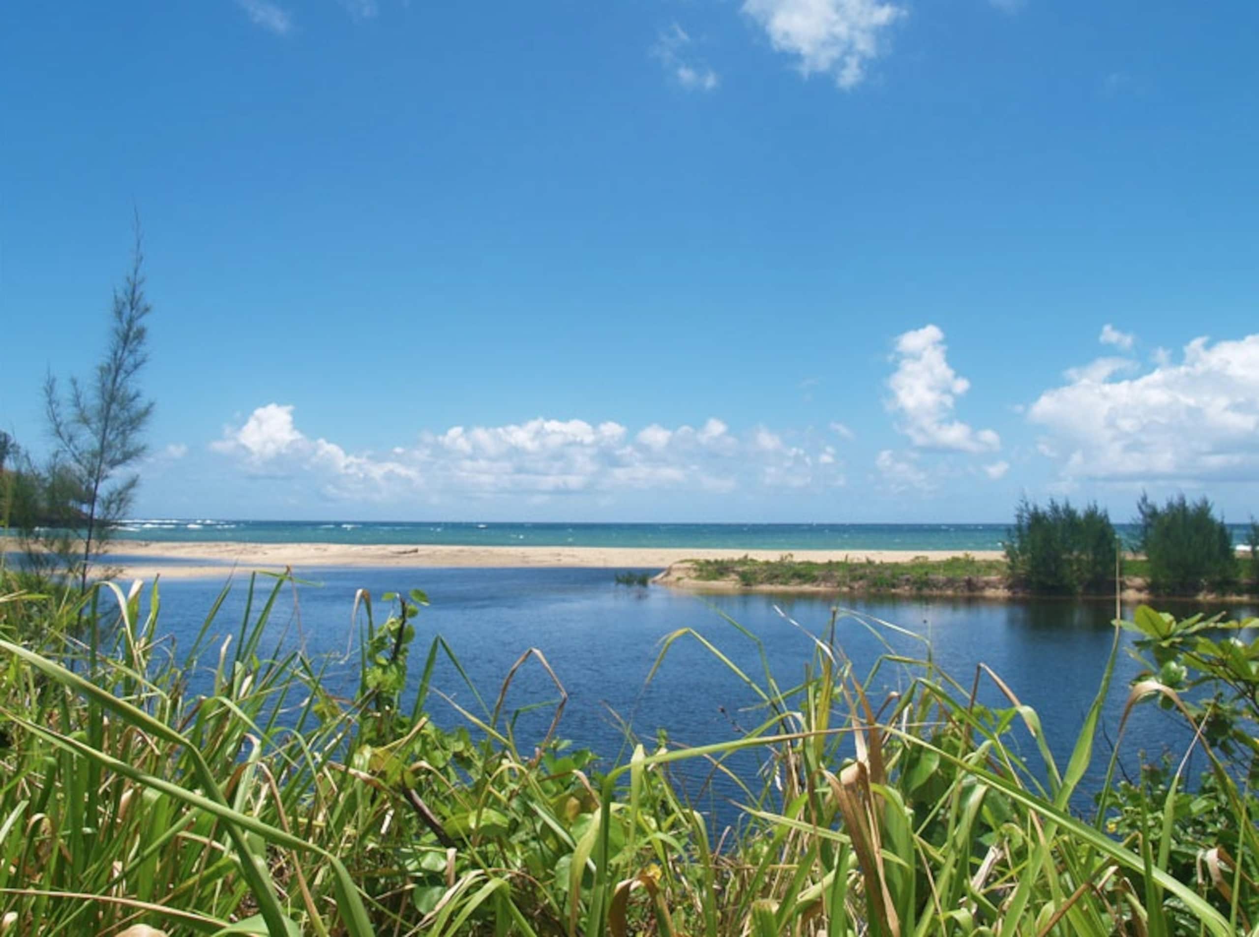 Home in Wainiha · ★4.7 · 3 bedrooms · 3 beds · 2 baths - Photo 16