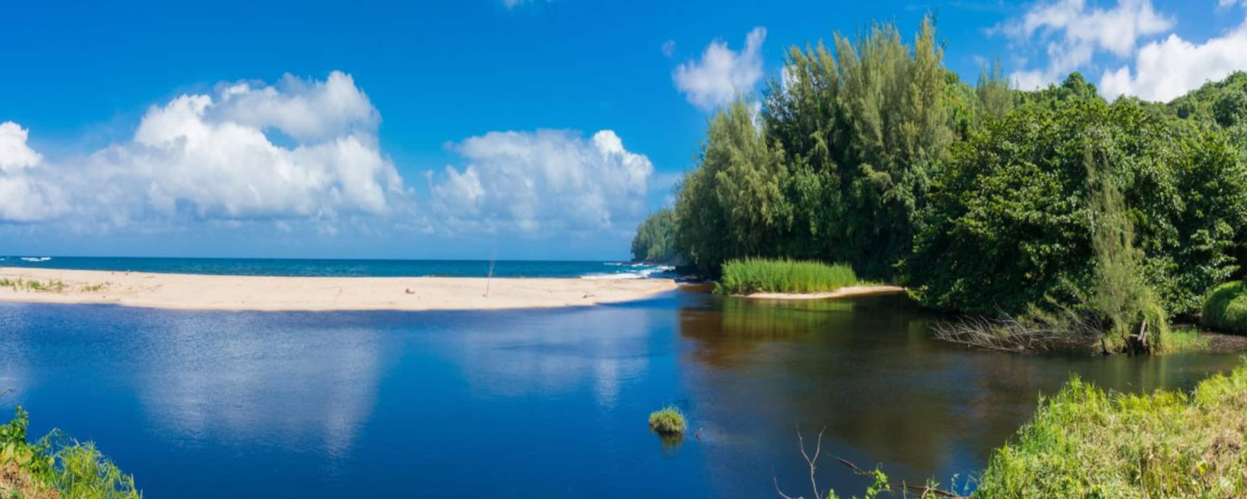 Home in Wainiha · ★4.7 · 3 bedrooms · 3 beds · 2 baths - Photo 17