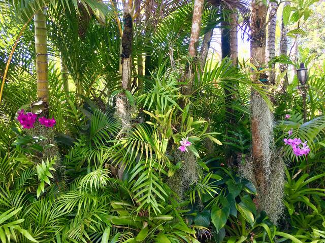 Amazing mountain & distant ocean views w/ private gallery image 4