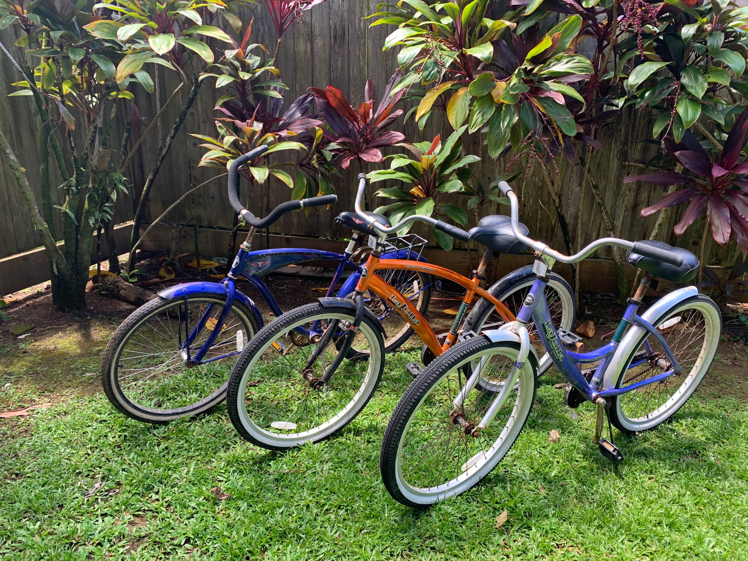 Home in Hanalei · ★4.8 · 3 bedrooms · 3 beds · 3 baths - Image 2
