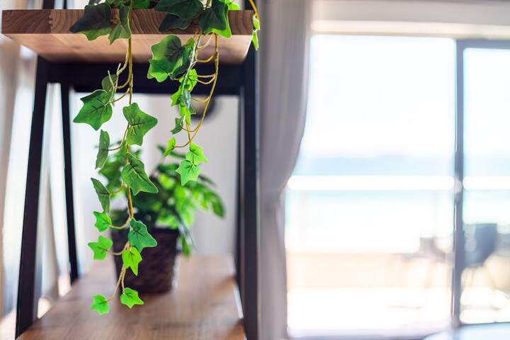 Sea Spray B403 by CTHA gallery image 5