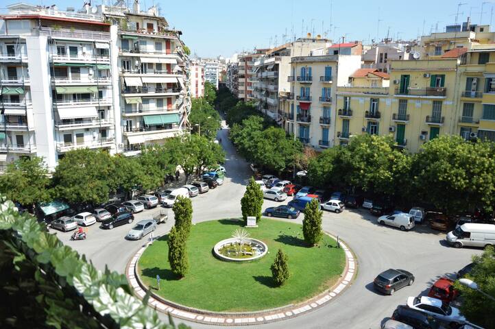 Zennova #5 Antigonidon Sq gallery image 2