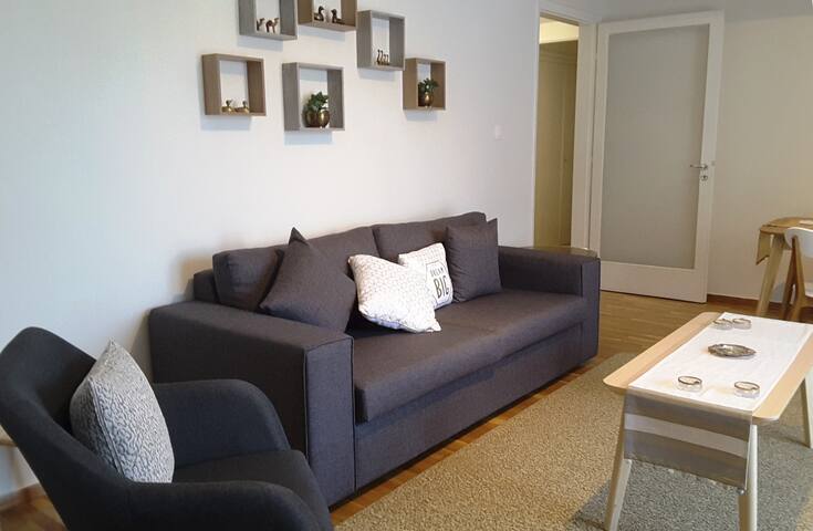 Zennova #5 Antigonidon Sq gallery image 3