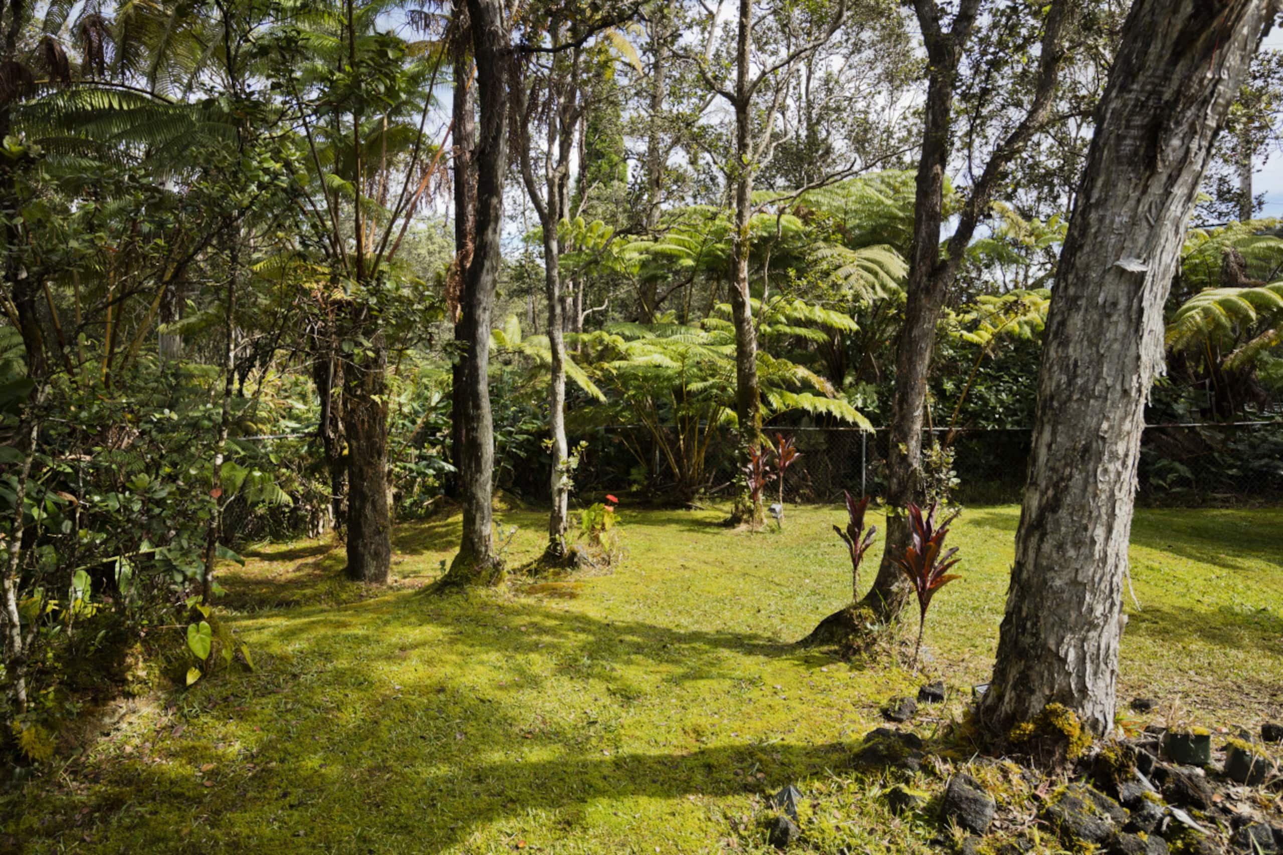 Garden home with Spa 5 min to National park - Photo 27
