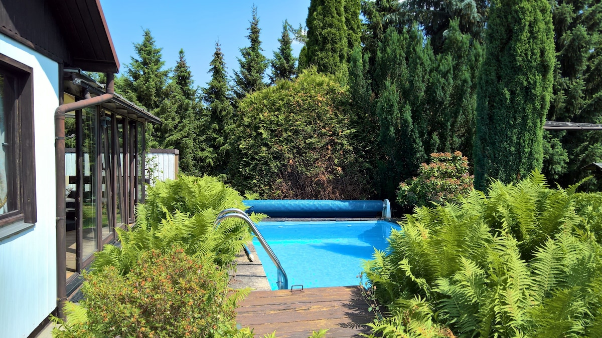 A serene pool area is surrounded by lush greenery and ferns, enhancing privacy. The pool, prominently placed, features a built-in ladder for easy access. Nearby, a wooden deck provides space for relaxation, complemented by tall trees in the background and a glimpse of the winter garden.