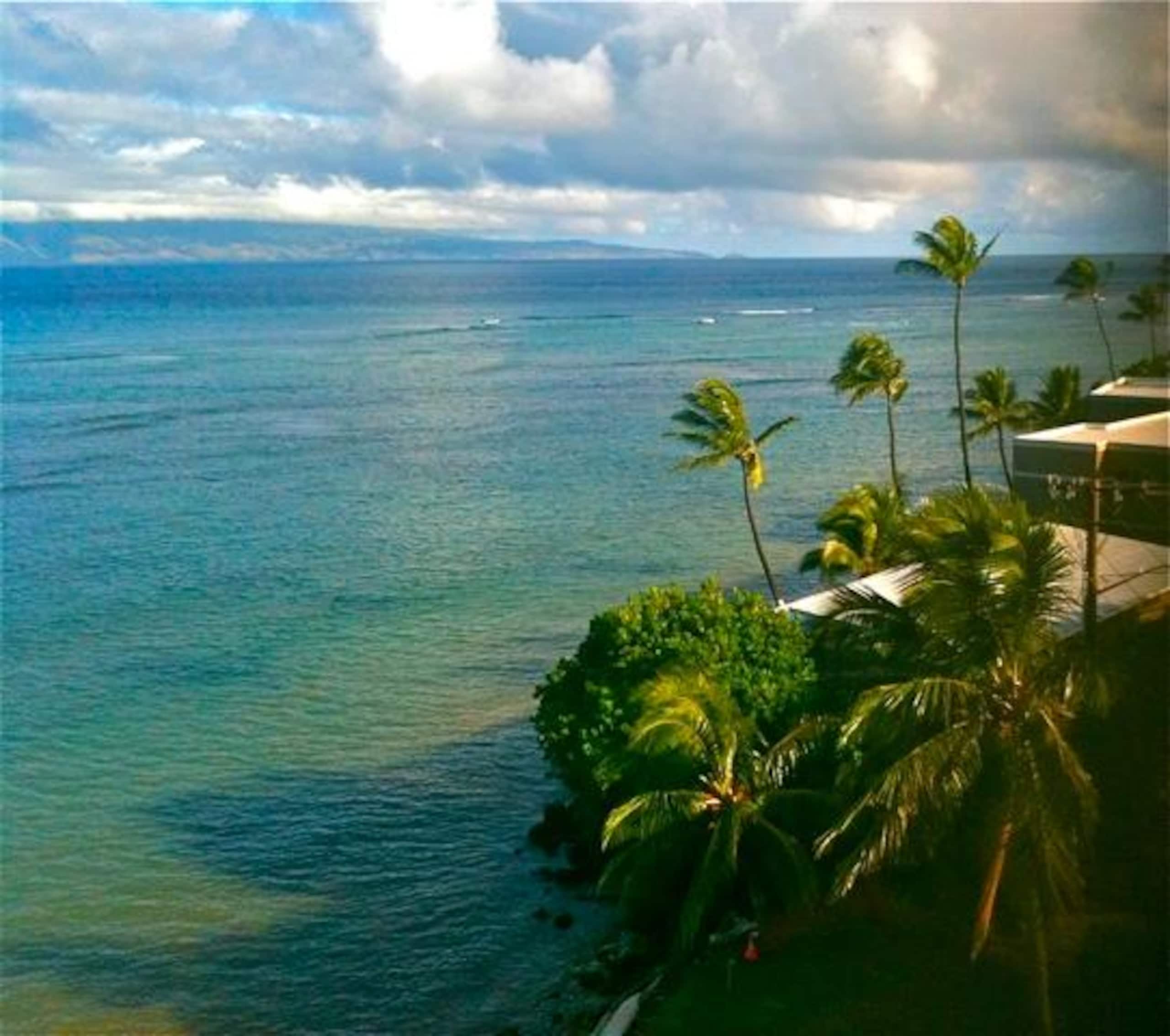 Condo in Lahaina · ★4.98 · 1 bedroom · 1 bed · 1 bath - Image 37