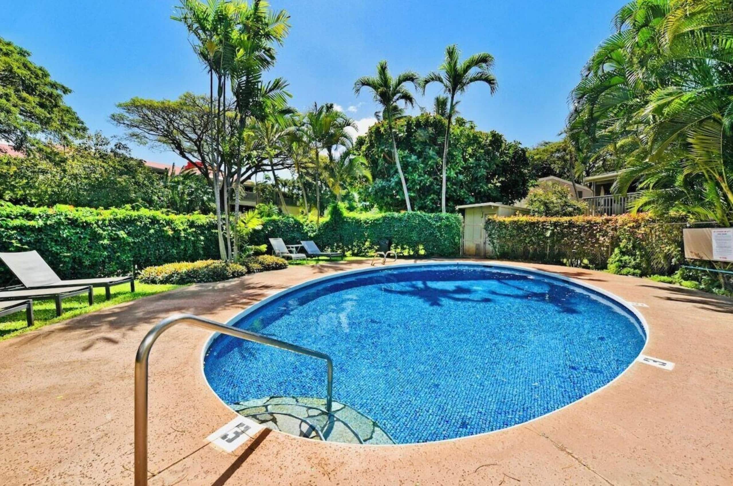 Condo in Lahaina · ★4.98 · 1 bedroom · 1 bed · 1 bath - Image 31