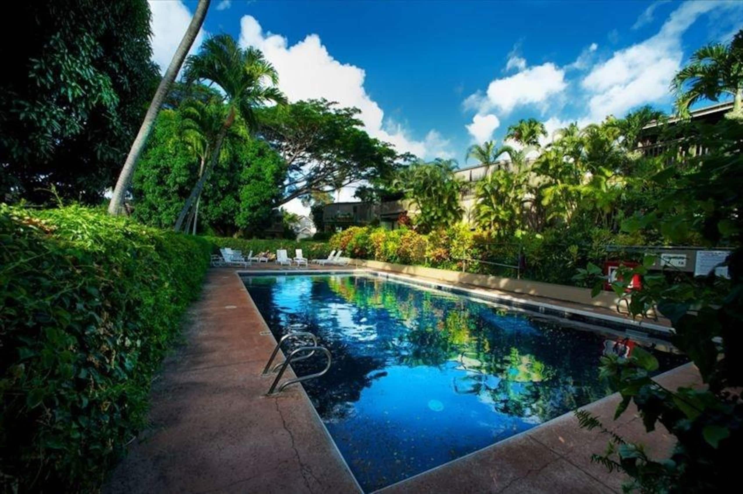 Condo in Lahaina · ★4.98 · 1 bedroom · 1 bed · 1 bath - Image 41