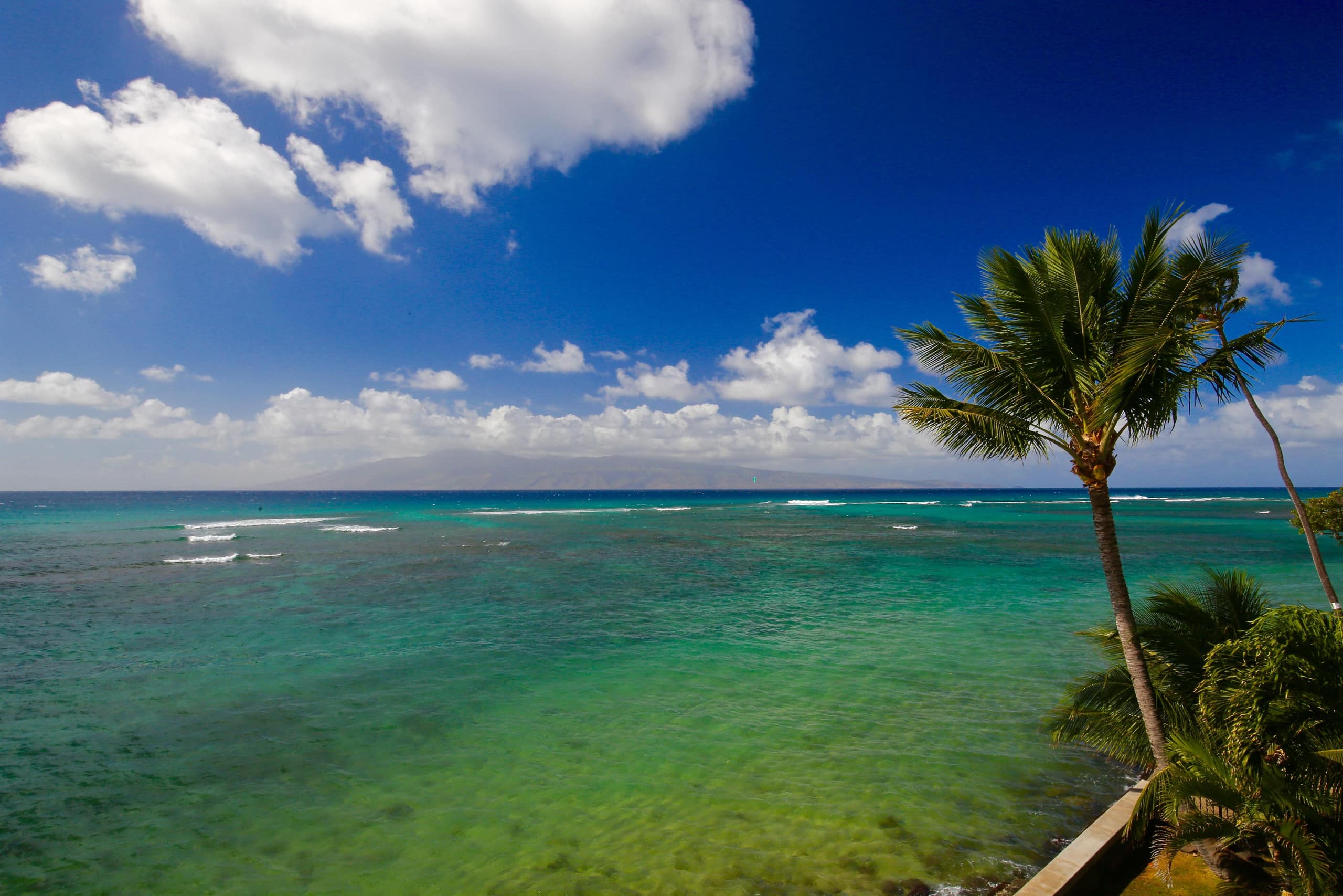 Condo in Lahaina · ★4.98 · 1 bedroom · 1 bed · 1 bath - Image 36