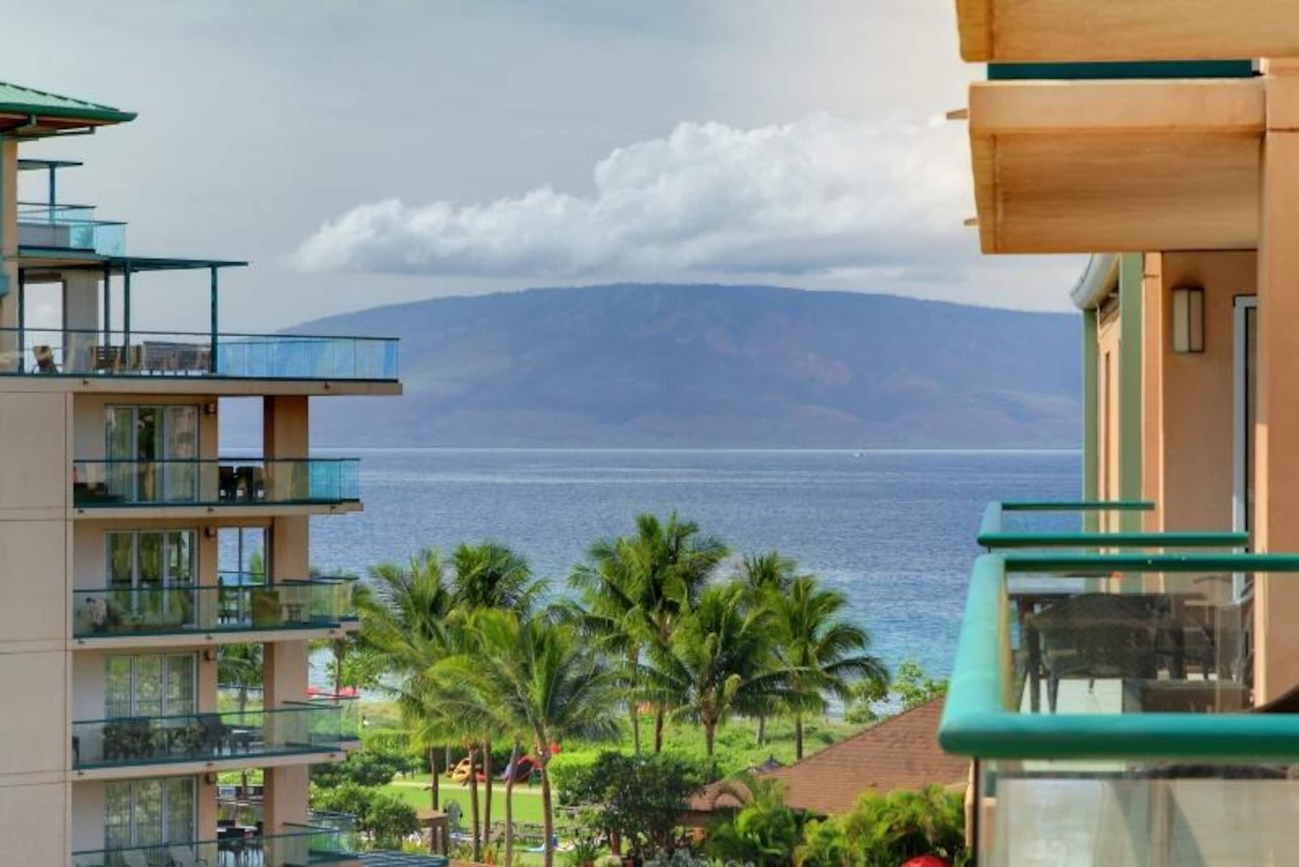 Condo in Lahaina · ★5.0 · 1 bedroom · 3 beds · 1 bath - Image 1