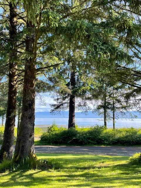 Beachfront cabin near Sekiu Forks Neah Bay Olympic