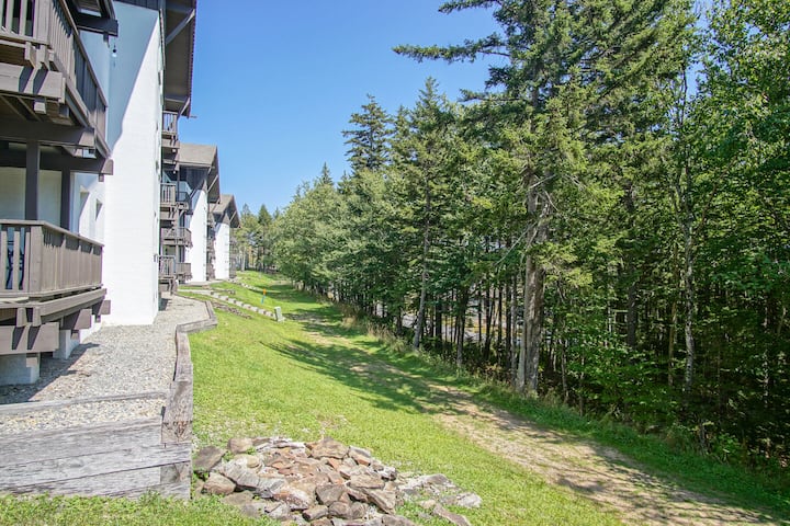 Whistlepunk # 28:  2 Bedrooms, 2 Full Baths:  Slope Side.  Wood Fireplace. Central Location. - Snowshoe, WV