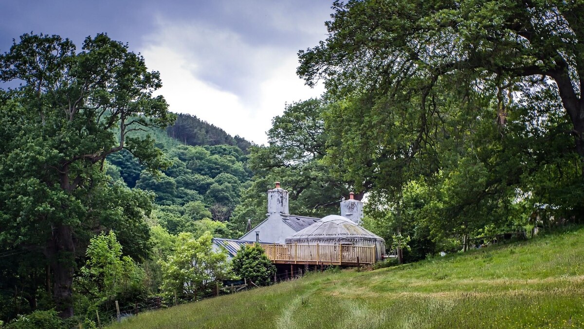 The image captures two large yurts nestled among lush greenery, framed by tall trees. A wooden deck connects the yurts, providing an inviting outdoor space. The surrounding landscape features rolling hills and a natural setting that enhances the tranquil atmosphere of the property.