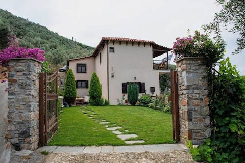 Luxury Mansion in Pelion Hills
