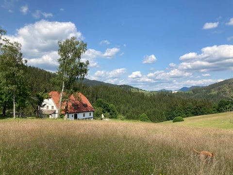 Breiteneben Chalet – History, Nature, Lake & Ski