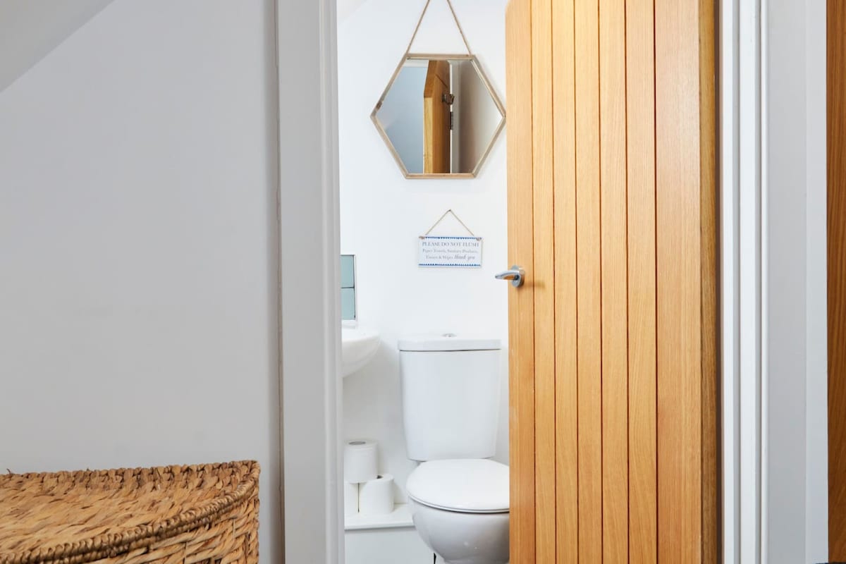 A modern bathroom is visible through a wooden door. White walls enhance the clean aesthetic. A compact toilet and sink are positioned alongside a light blue accent wall. A decorative mirror hangs above the sink, adding visual interest to the space.