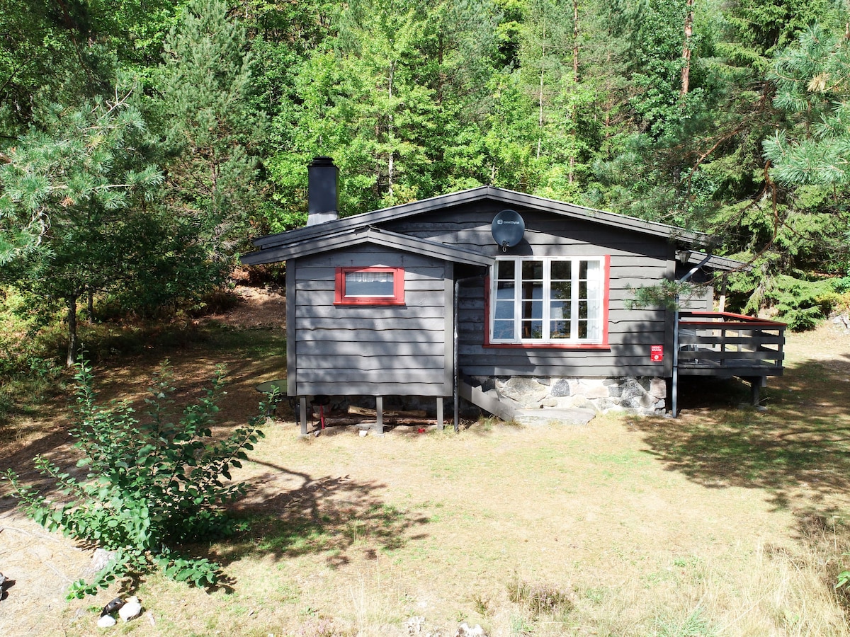 The timber house features a rustic exterior with dark wood siding and red trim. A large window allows natural light to brighten the interior. Surrounded by lush greenery, the structure is positioned on a grassy area in a tranquil woodland setting.