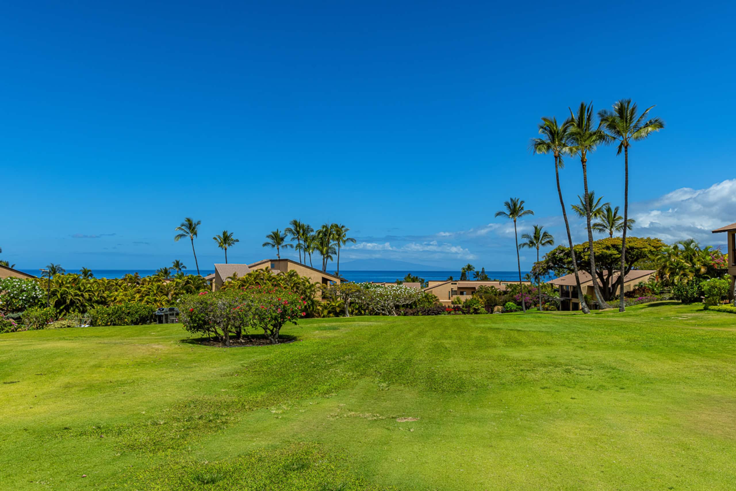 Condo in Kihei · ★4.88 · 1 bedroom · 2 beds · 2 baths - Image 55