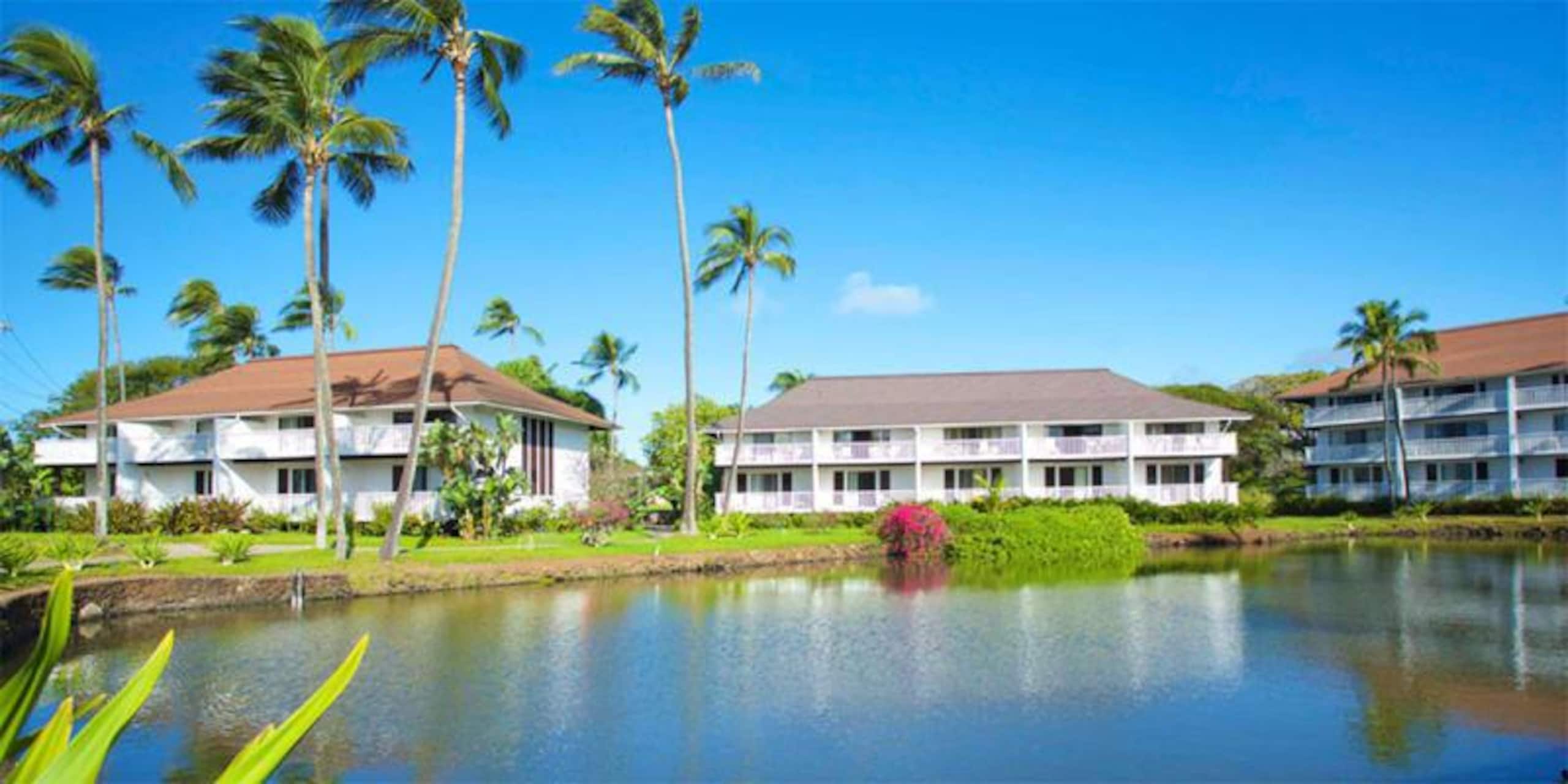 Condo in Koloa · ★4.07 · 2 bedrooms · 3 beds · 2 baths - Photo 56