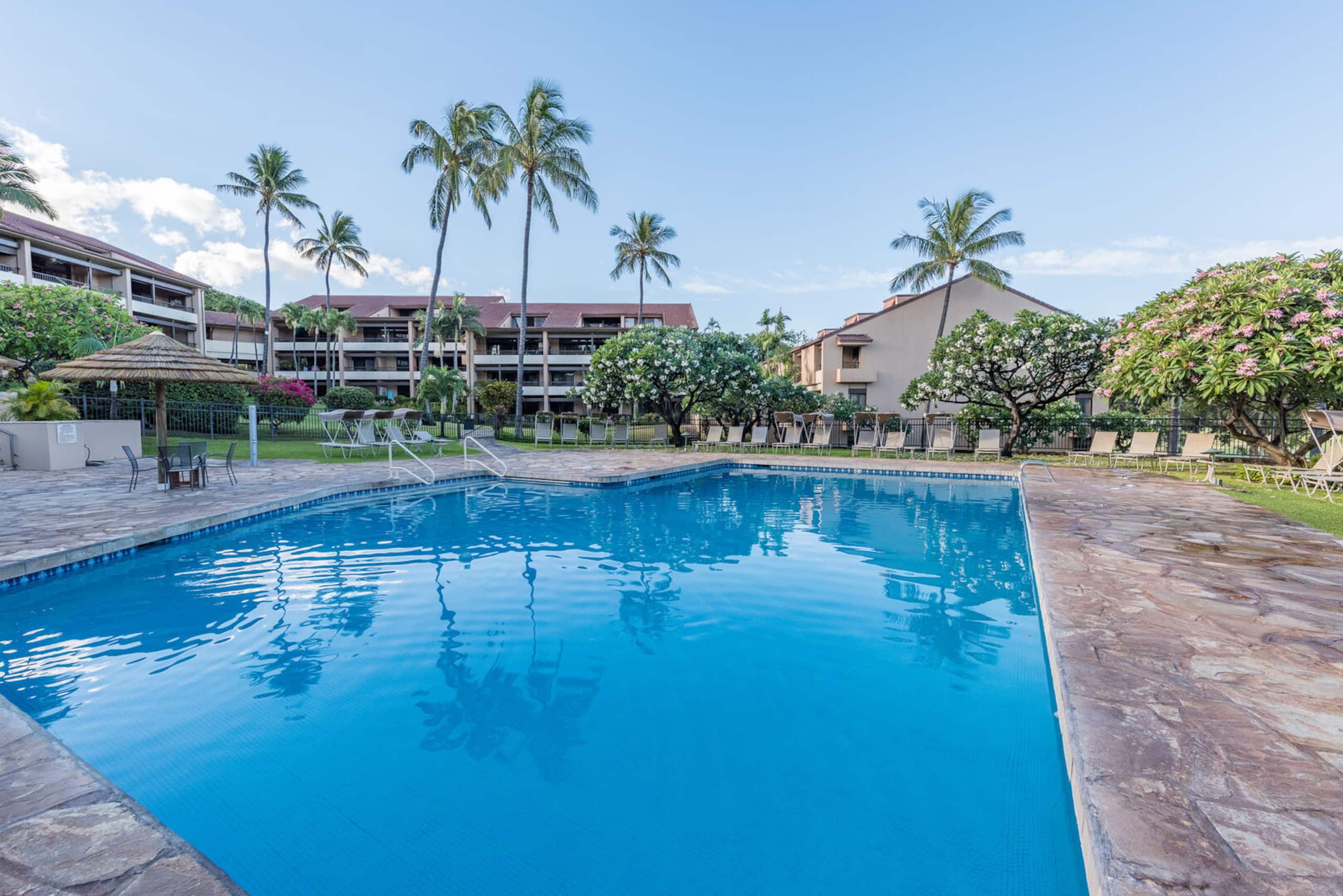 Condo in Lahaina · ★4.89 · 2 bedrooms · 2 beds · 2 baths - Image 31