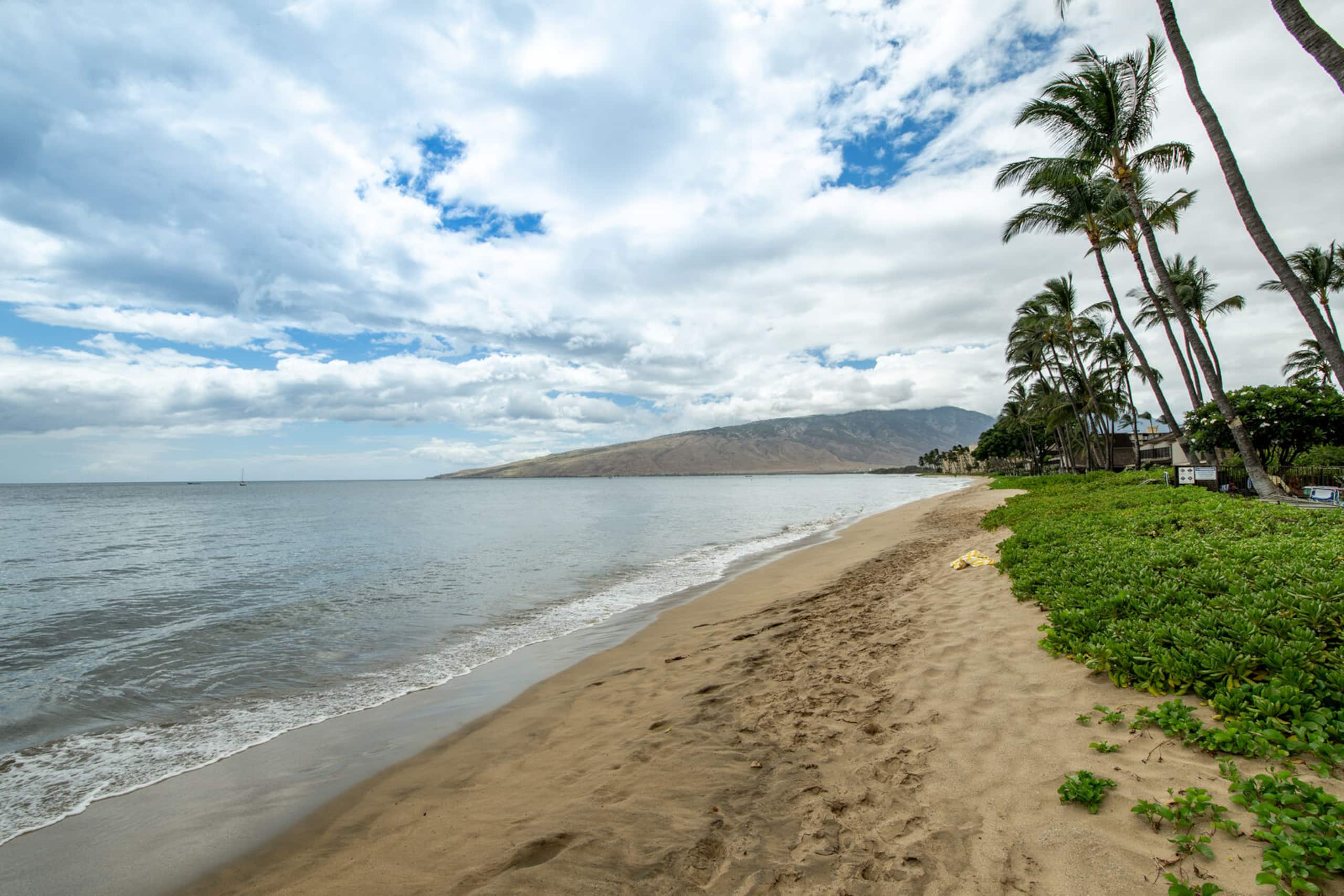 Condo in Kihei · ★4.5 · 1 bedroom · 2 beds · 1 private bath - Image 23