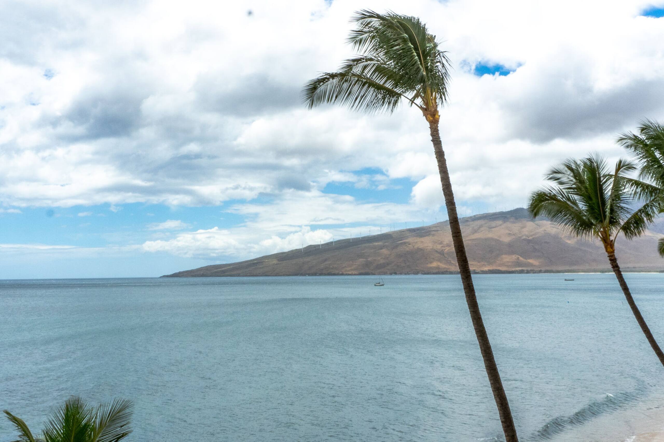 Condo in Kihei · ★4.5 · 1 bedroom · 2 beds · 1 private bath - Image 3