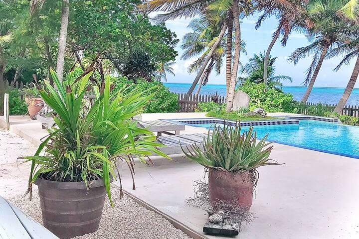 Holiday Time at Le Reve Beach House! gallery image 5