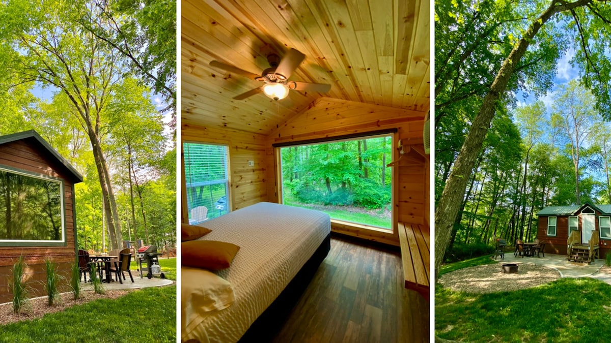 A cabin exterior shows rich wooden siding and a large picture window framing the lush greenery outside. A seating area with a table and chairs is visible on the patio, inviting relaxation in the natural surroundings.