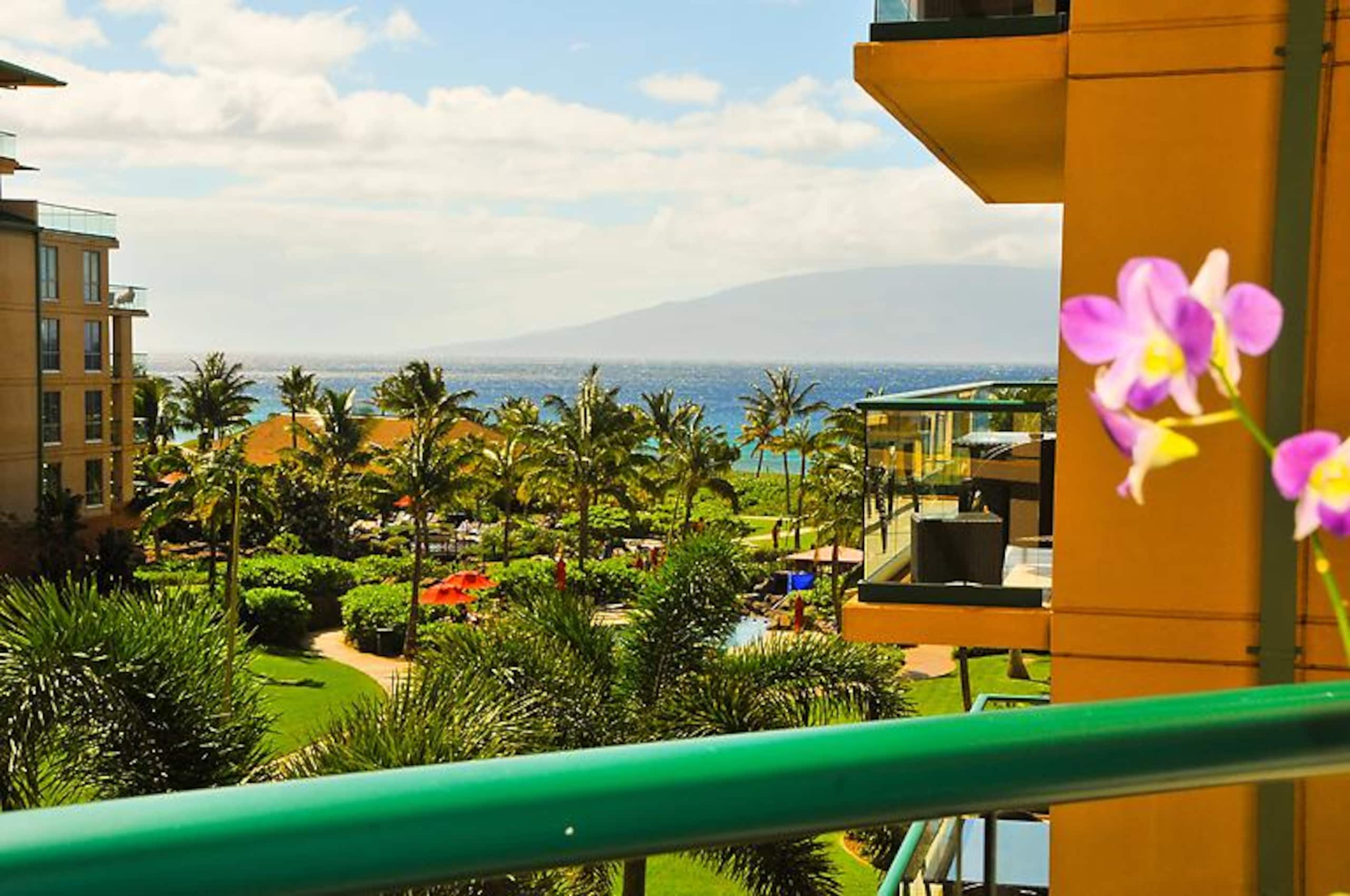 Condo in Lahaina · ★4.91 · 1 bedroom · 2 beds · 1 bath - Image 1
