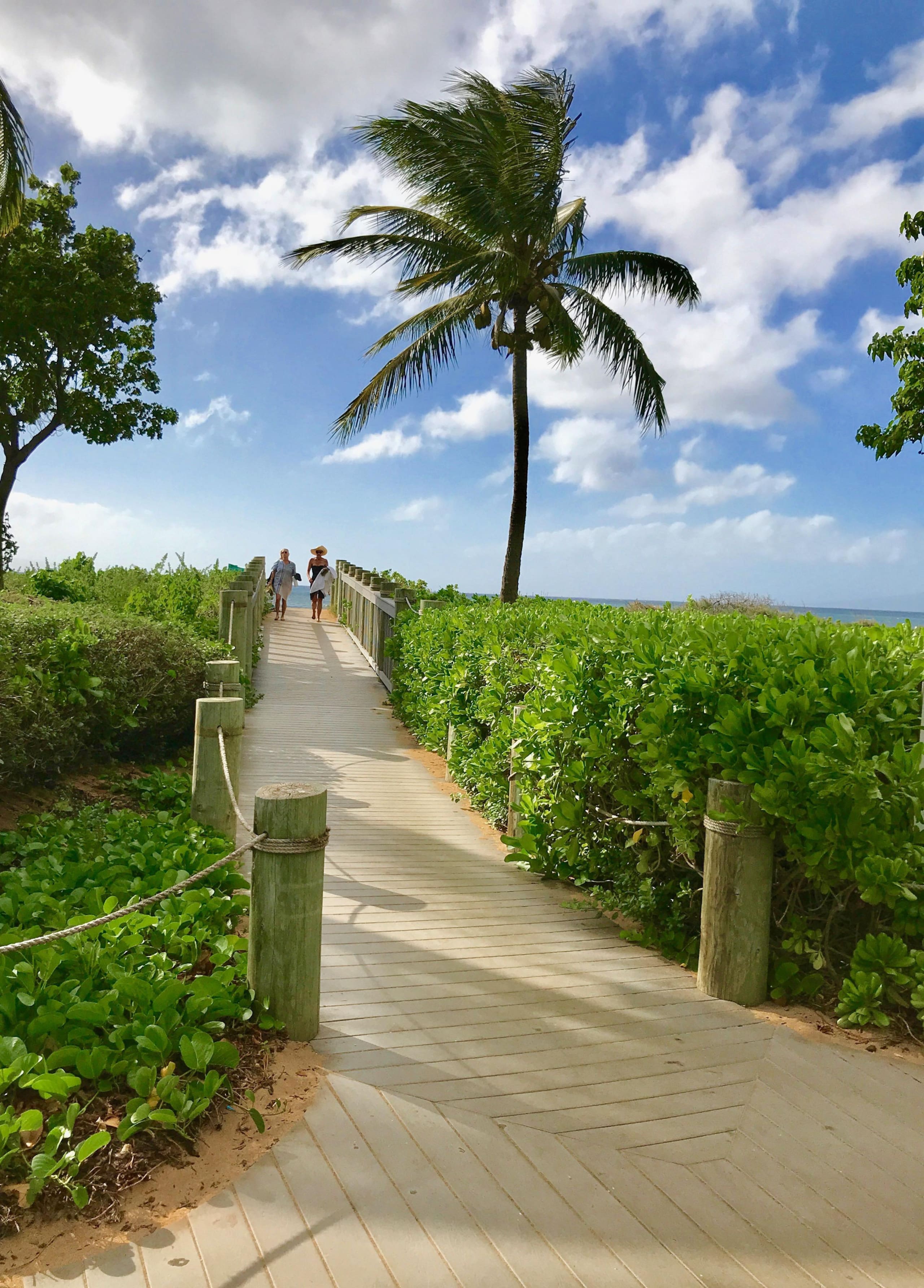 Condo in Lahaina · ★4.91 · 1 bedroom · 2 beds · 1 bath - Image 30