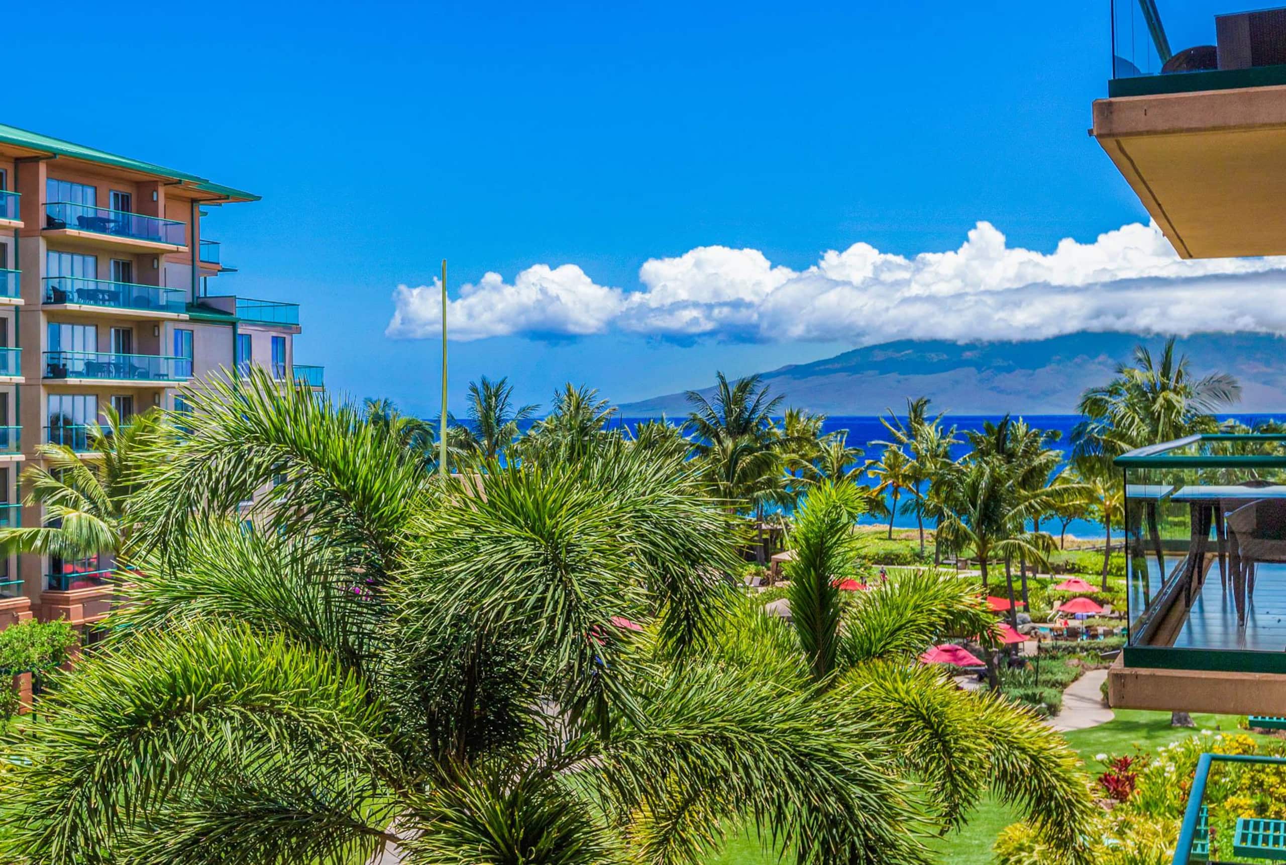 Condo in Lahaina · ★4.91 · 1 bedroom · 2 beds · 1 bath - Image 6
