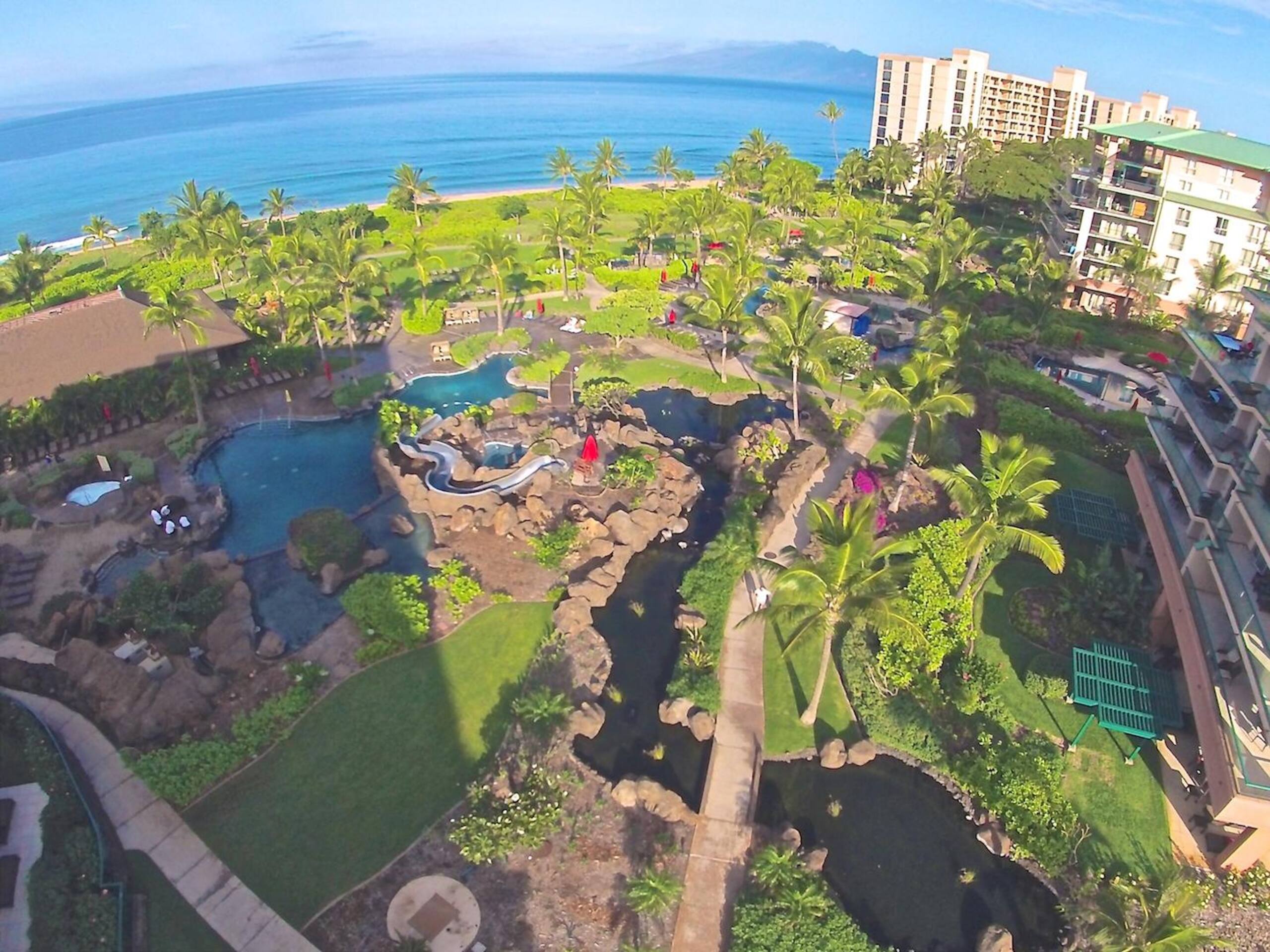 Condo in Lahaina · ★4.91 · 1 bedroom · 2 beds · 1 bath - Image 33