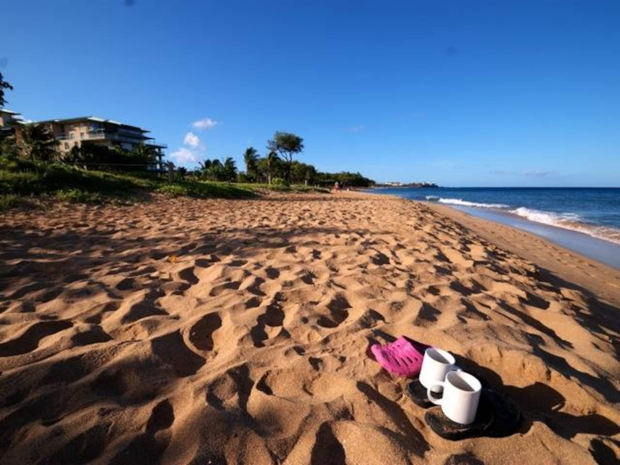 Condo in Lahaina · ★4.91 · 1 bedroom · 2 beds · 1 bath - Image 31