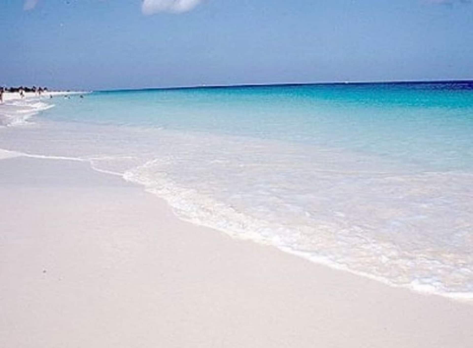 Ocean Front Property - Villa 4 Aruba w pool view