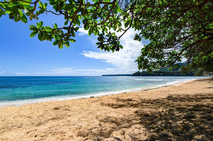 Oceanfront in Hanalei, Steps to Beach+A/C. TVR4206 gallery image 3