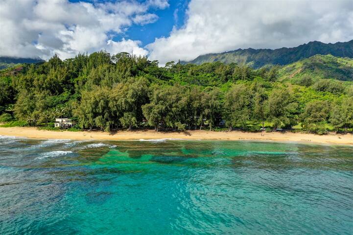 Oceanfront in Hanalei, Steps to Beach+A/C. TVR4206 gallery image 5