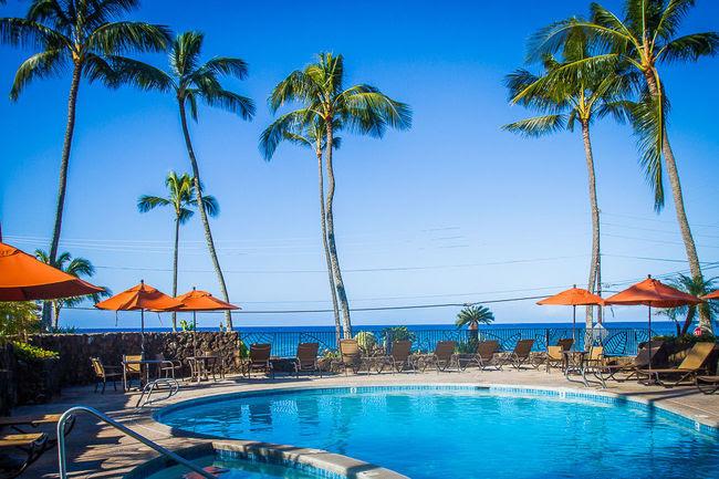 A resort pool is surrounded by tall palm trees and comfortable lounge chairs, providing a relaxed atmosphere. Orange umbrellas provide shade next to the sparkling water. A clear blue sky enhances the inviting scene, while the ocean can be seen in the background.