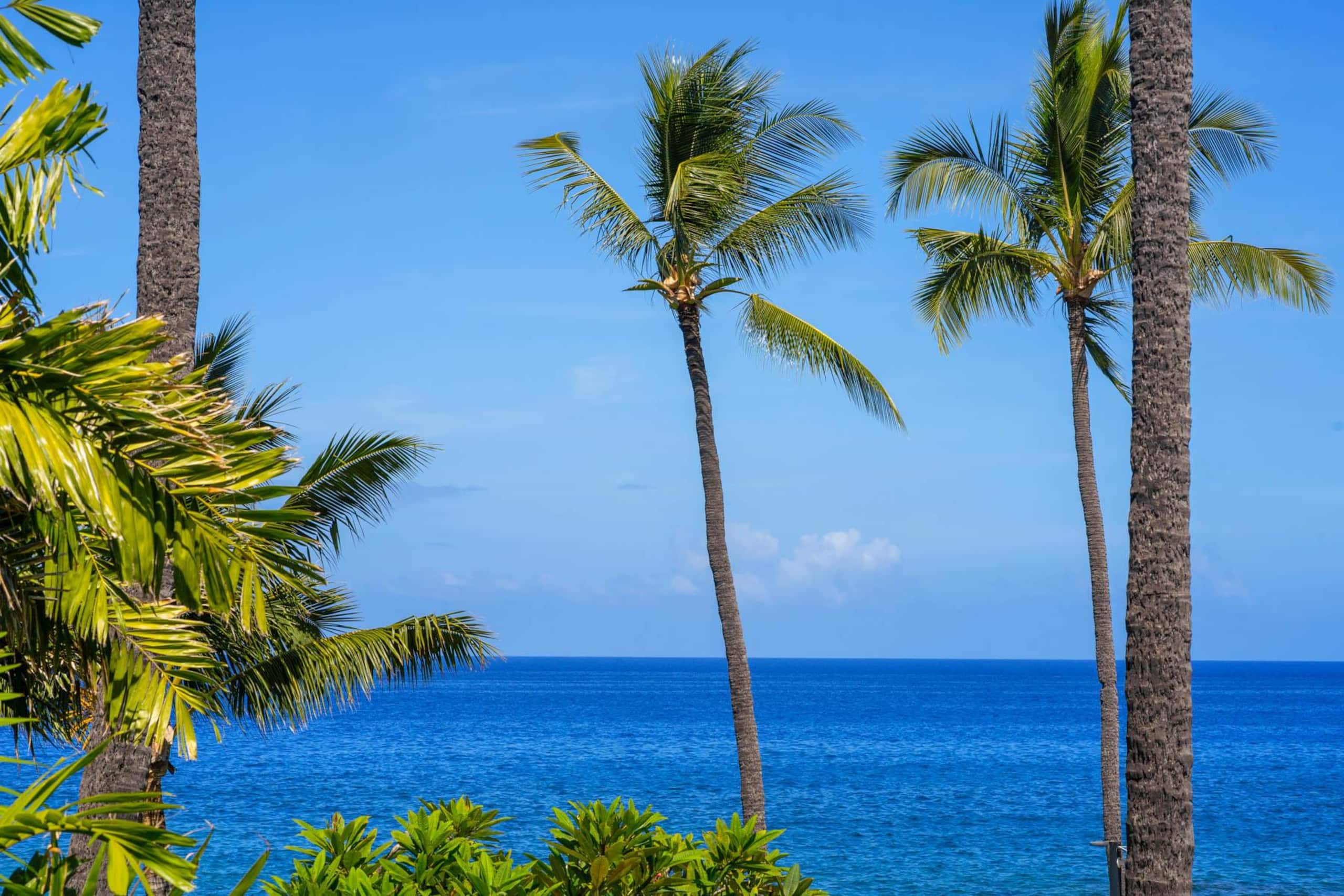 Condo in Kailua-Kona · ★4.94 · 2 bedrooms · 3 beds · 2 baths - Image 21
