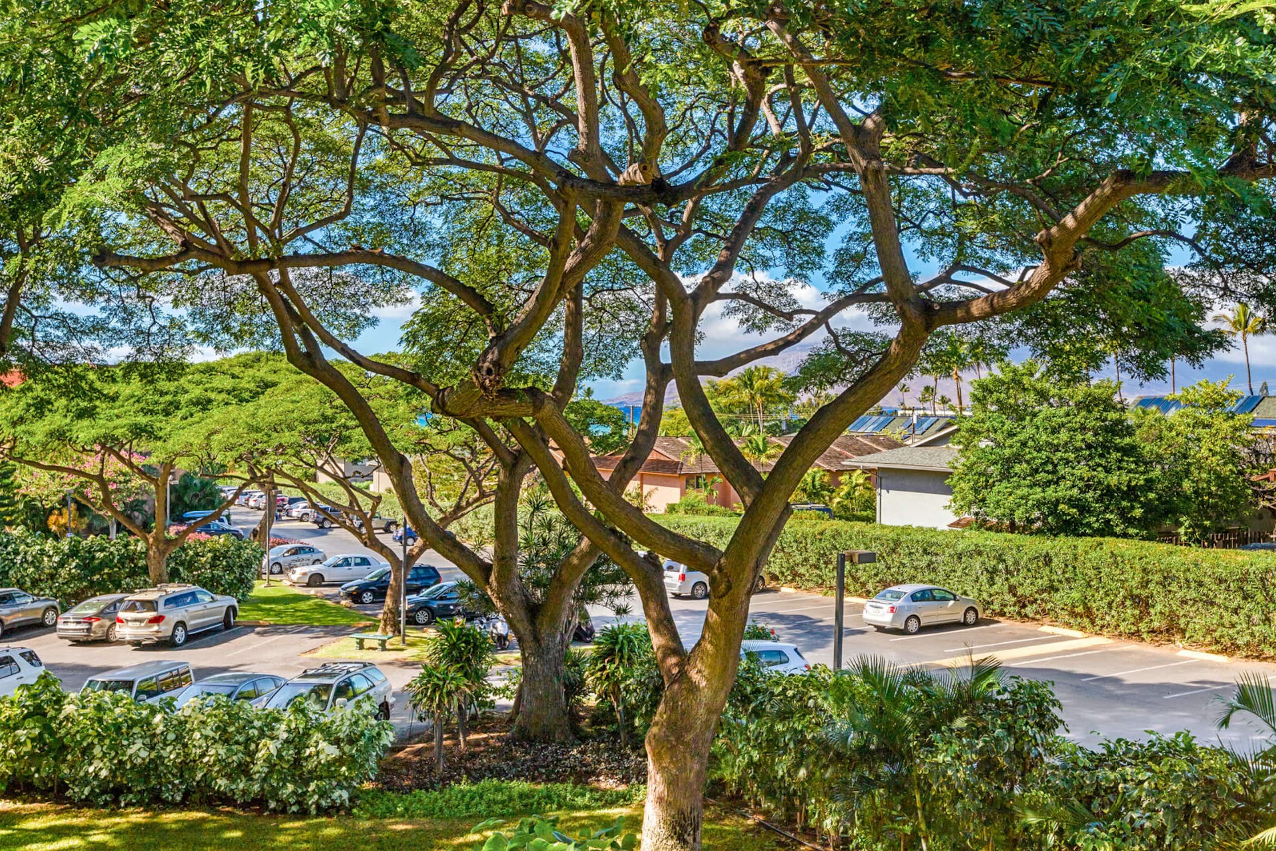 Condo in Kihei · ★4.5 · 1 bedroom · 3 beds · 1 bath - Image 27