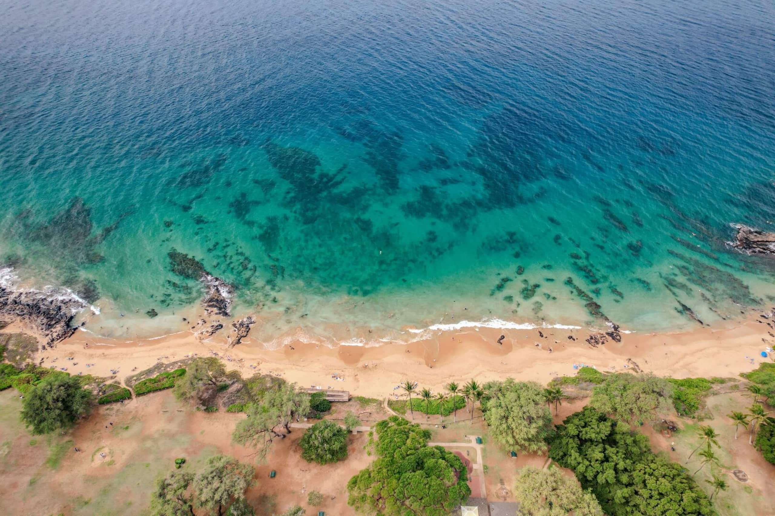 Condo in Kihei · ★4.5 · 1 bedroom · 3 beds · 1 bath - Image 34