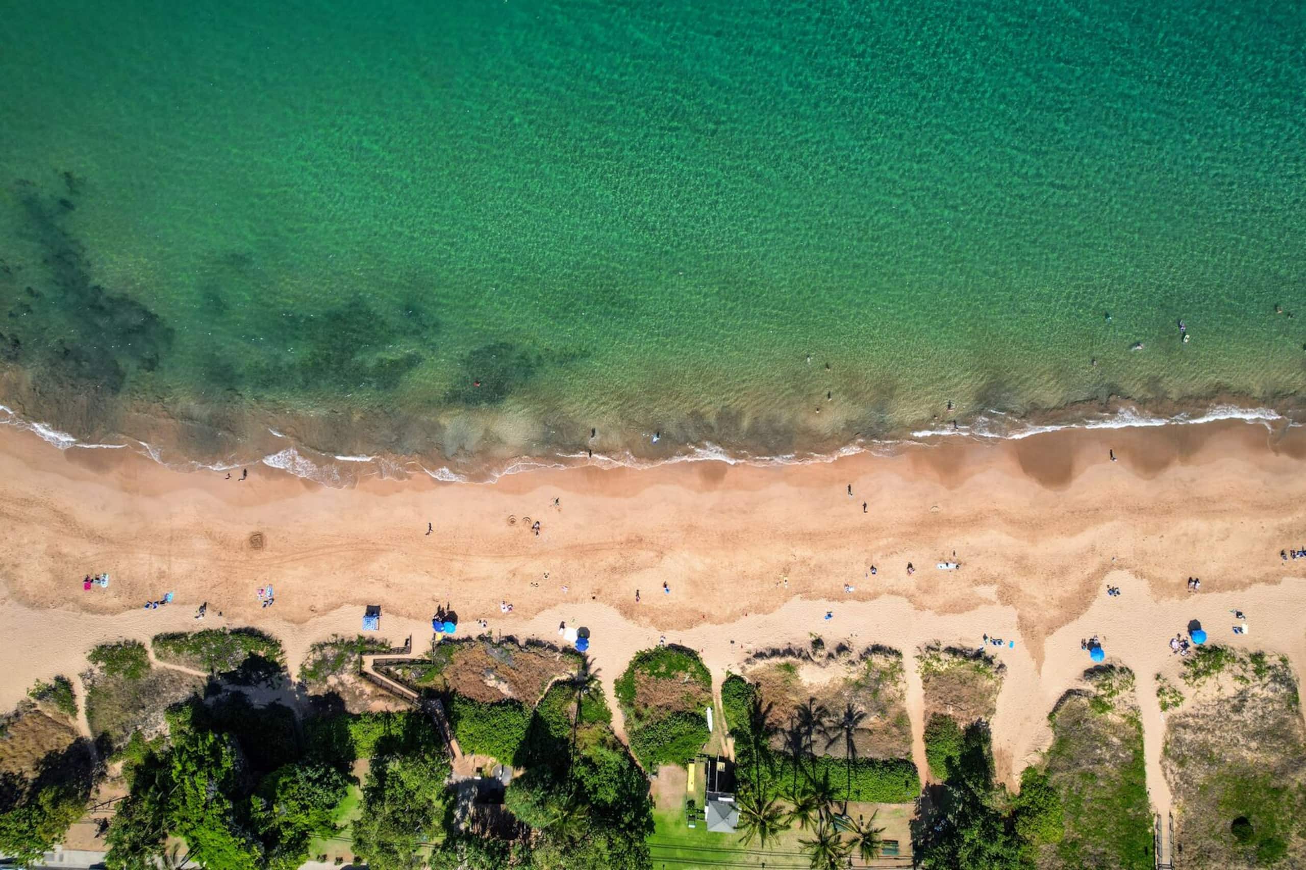 Condo in Kihei · ★4.5 · 1 bedroom · 3 beds · 1 bath - Image 36