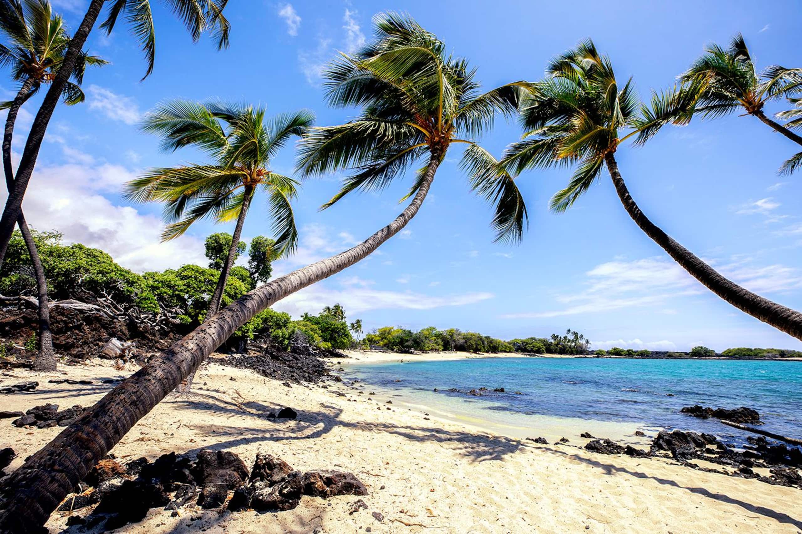 Condo in Kailua-Kona · ★4.87 · 2 bedrooms · 4 beds · 3 private baths - Image 27