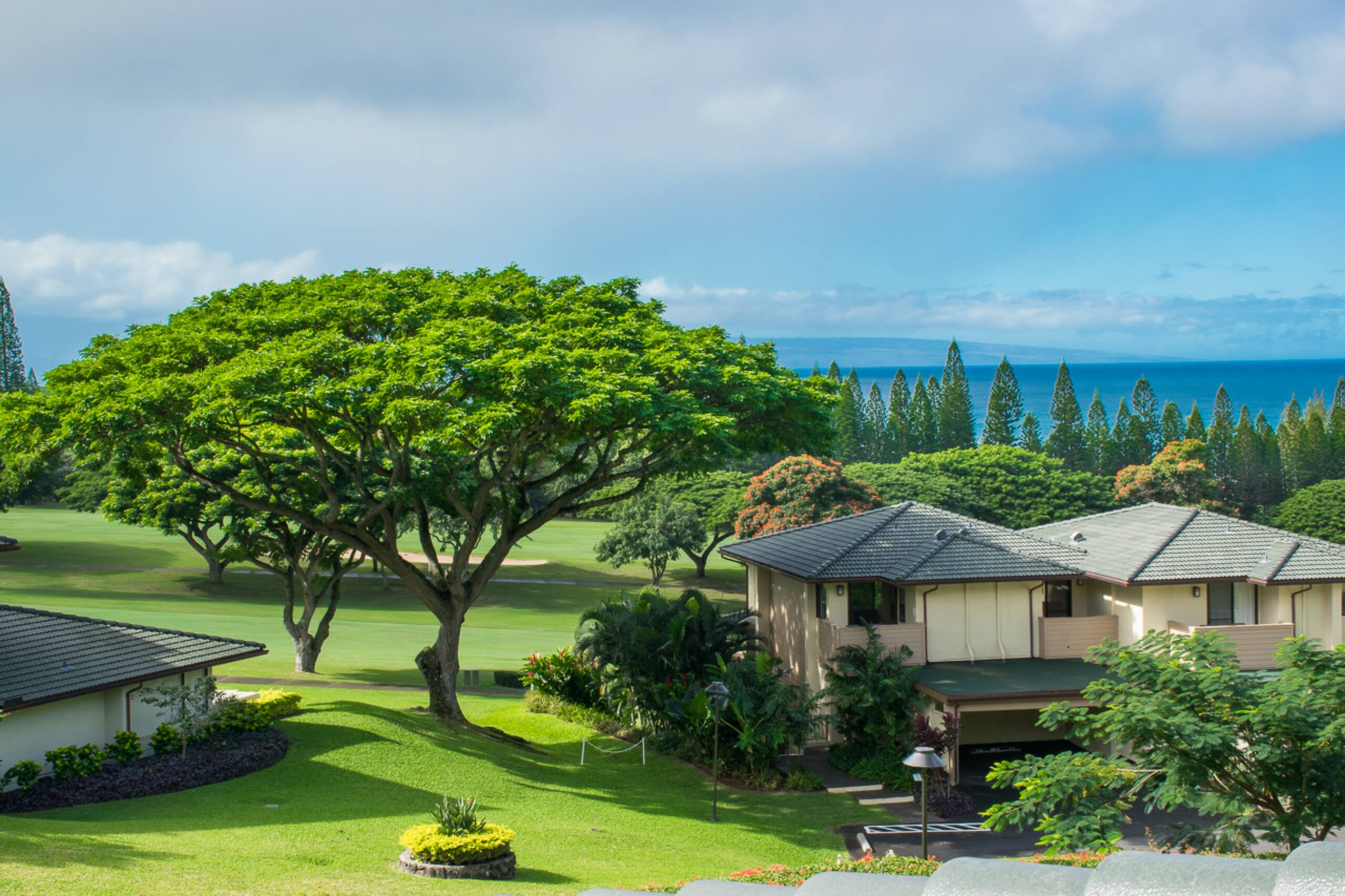 Condo in Kapalua · ★5.0 · 1 bedroom · 2 beds · 2 baths - Image 1