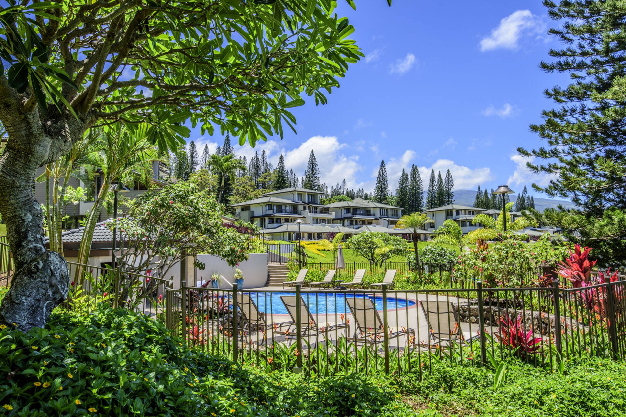 Condo in Kapalua · ★5.0 · 1 bedroom · 2 beds · 2 baths - Image 29