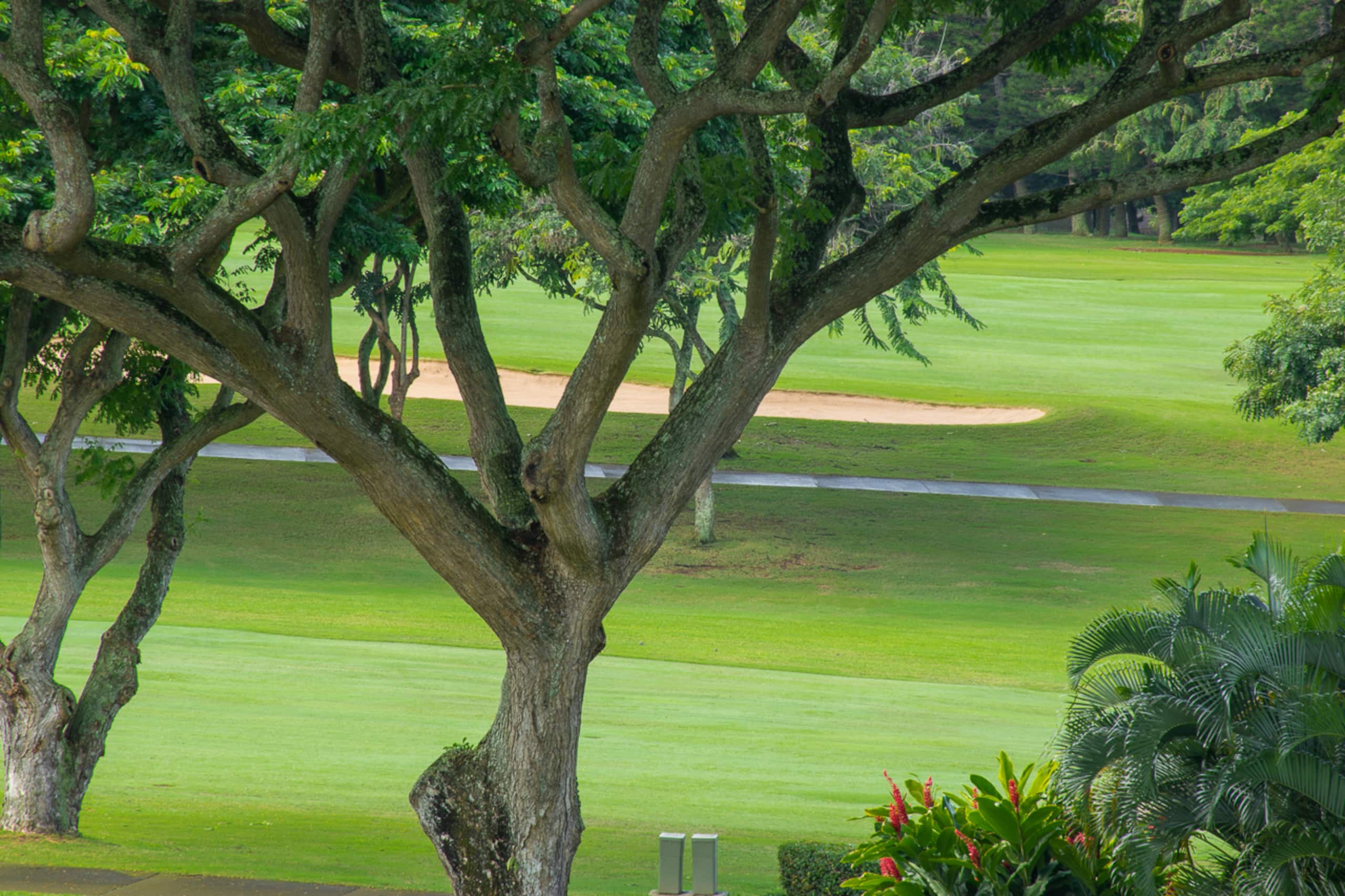 Condo in Kapalua · ★5.0 · 1 bedroom · 2 beds · 2 baths - Image 26