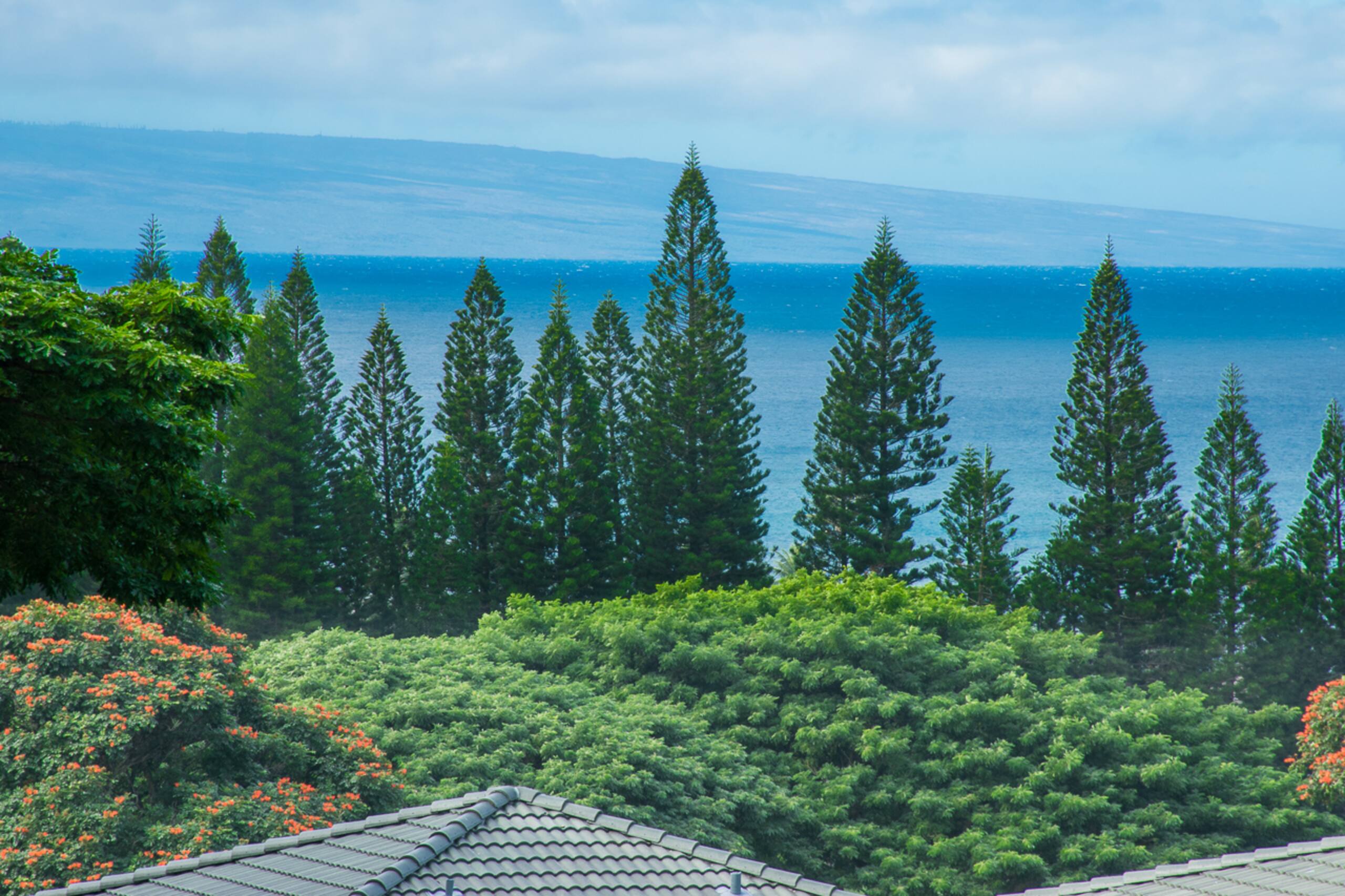 Condo in Kapalua · ★5.0 · 1 bedroom · 2 beds · 2 baths - Image 19