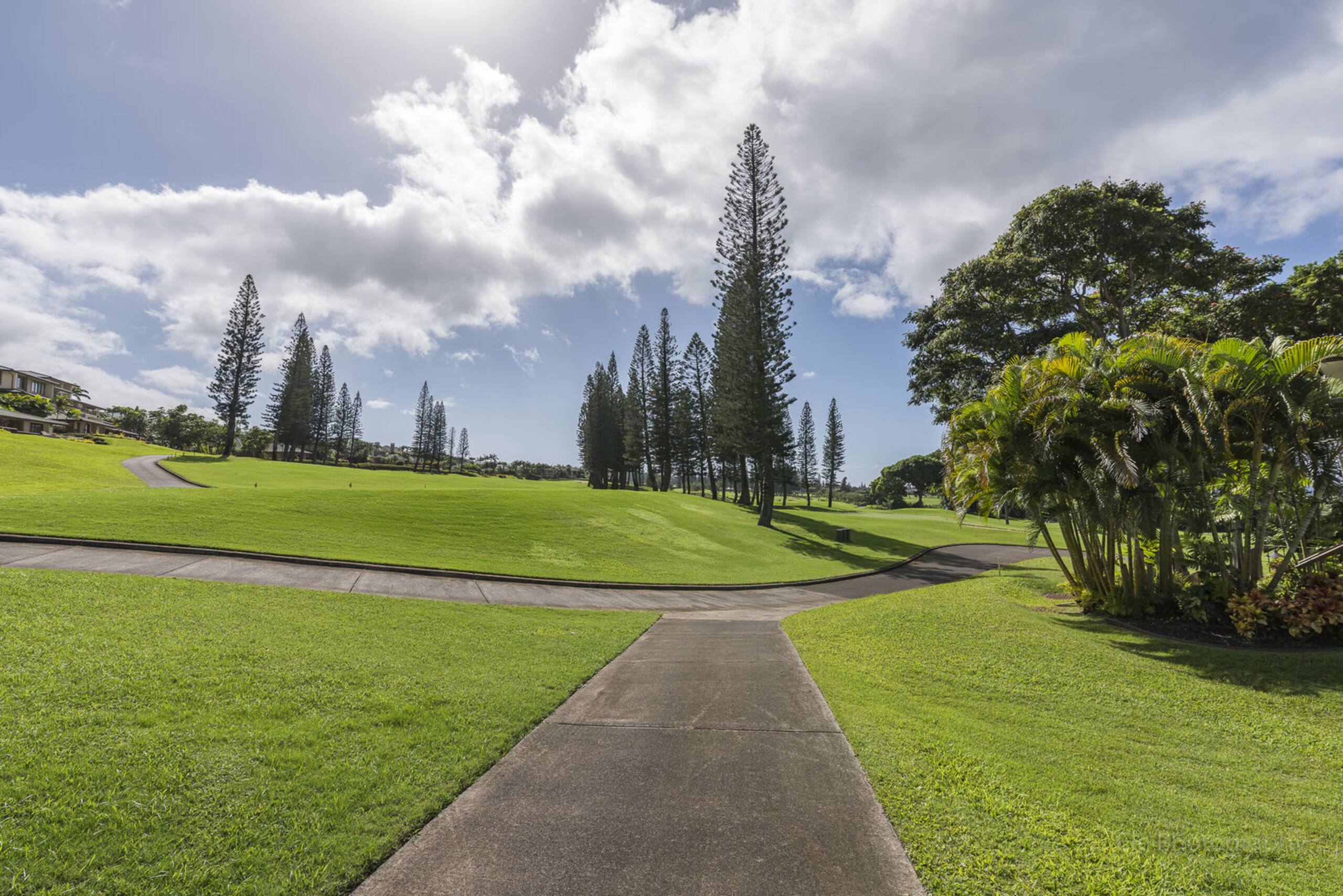 Condo in Kapalua · ★5.0 · 1 bedroom · 2 beds · 2 baths - Image 28