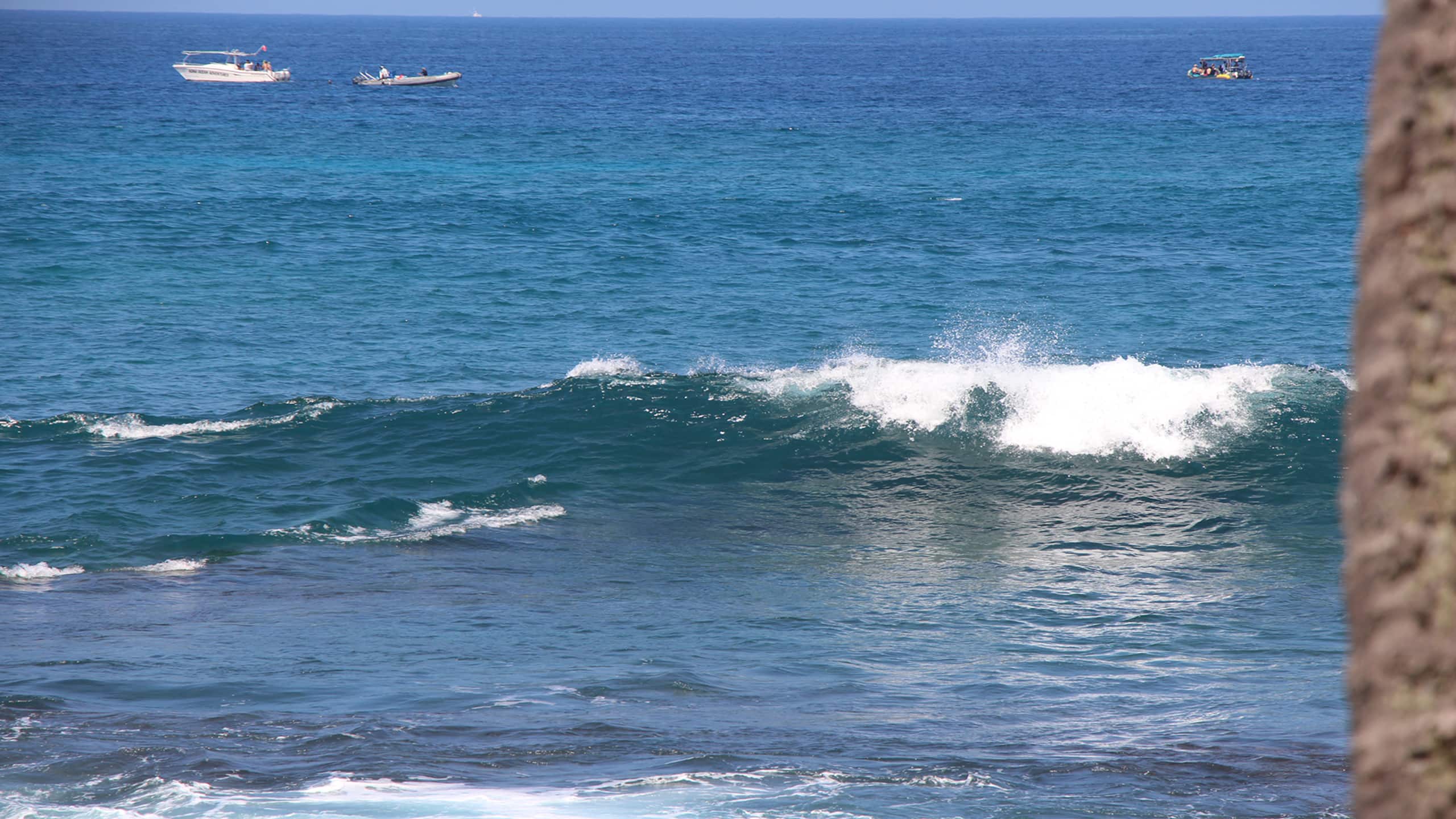 Condo in Kailua-Kona · ★4.18 · 2 bedrooms · 4 beds · No bathroom - Image 21